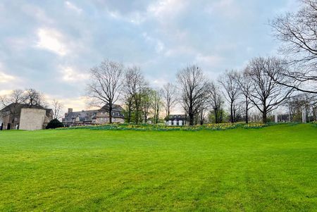 Wiese im Frühling im MüGa-Park am Schloß Broich